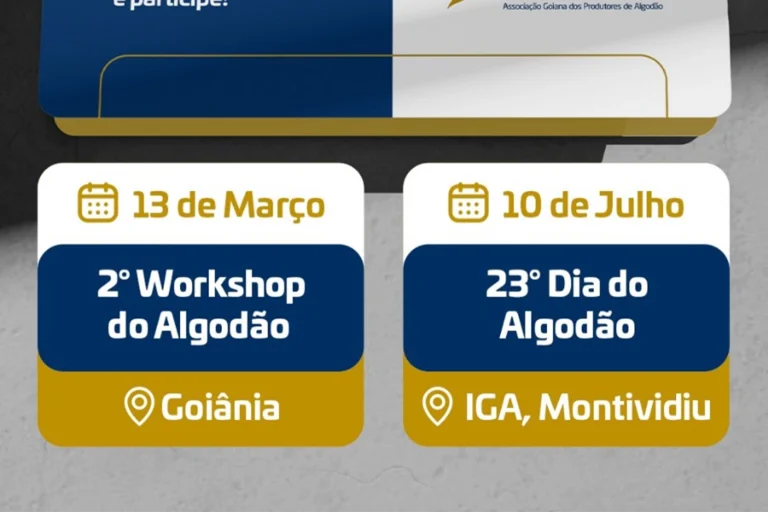 01kc78tr77hszfyemnvk91c6p4 copiar