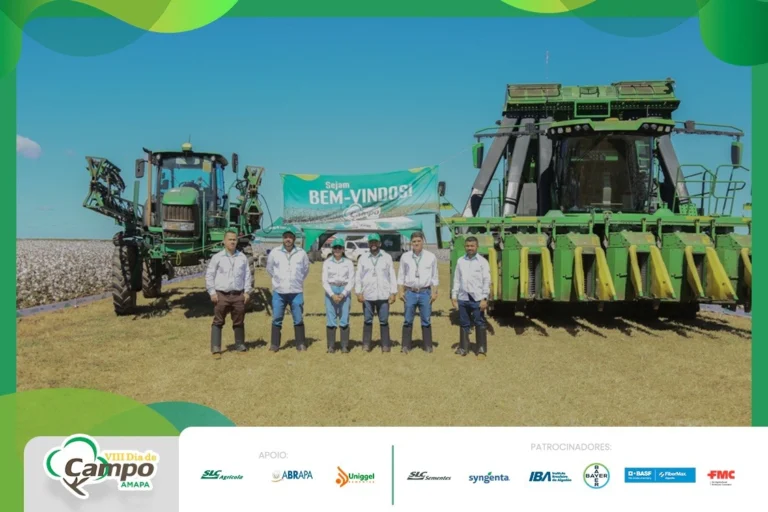 01kc78tr77hszfyemnvk91c6p4 copiar